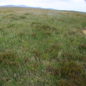 Peatland in the Wicklow Mountains (Ireland)
