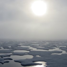 Melt Ponds on Arctic Sea Ice
