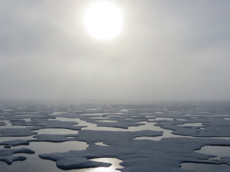 Melt Ponds on Arctic Sea Ice