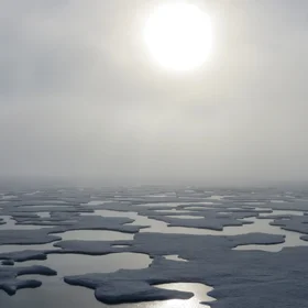 Melt Ponds on Arctic Sea Ice