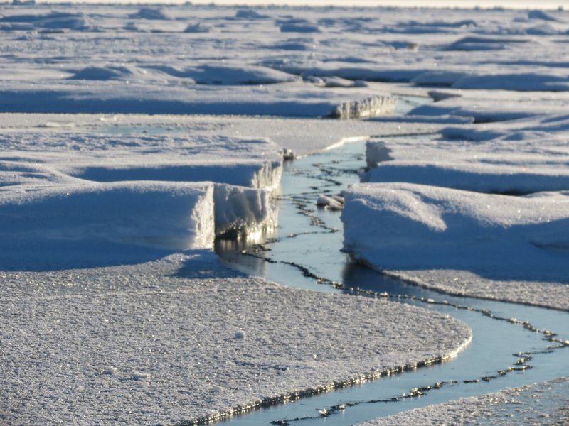 Arctic Sea Ice Tectonics