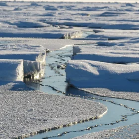 Arctic Sea Ice Tectonics