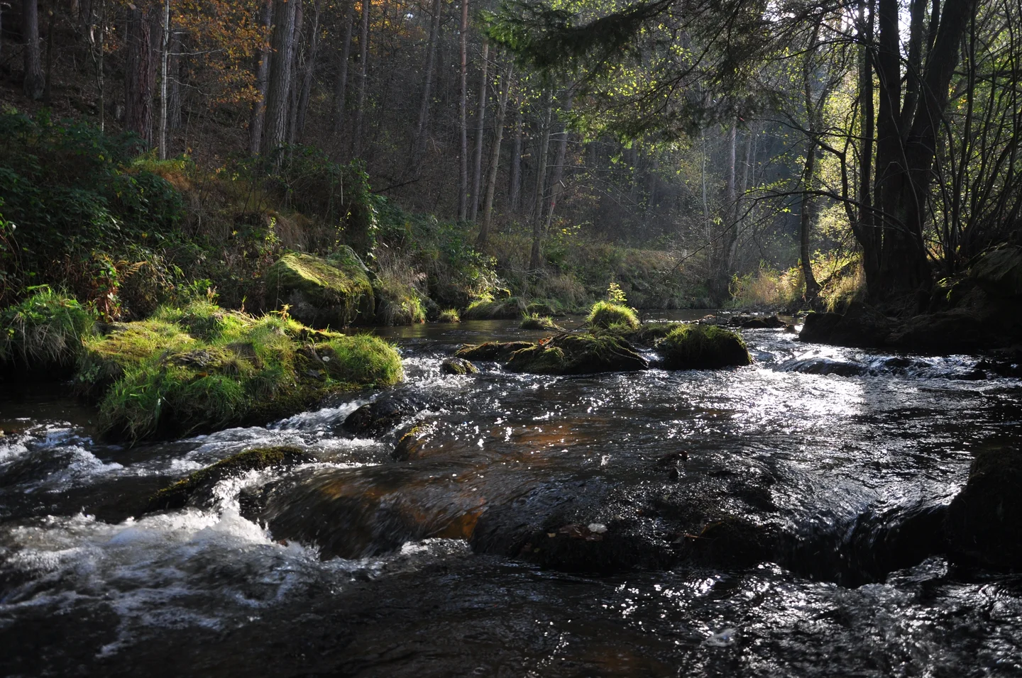 River Malse / Maltsch at the Austrian-Czech border