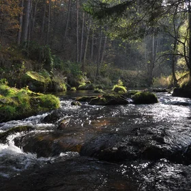 River Malse / Maltsch at the Austrian-Czech border