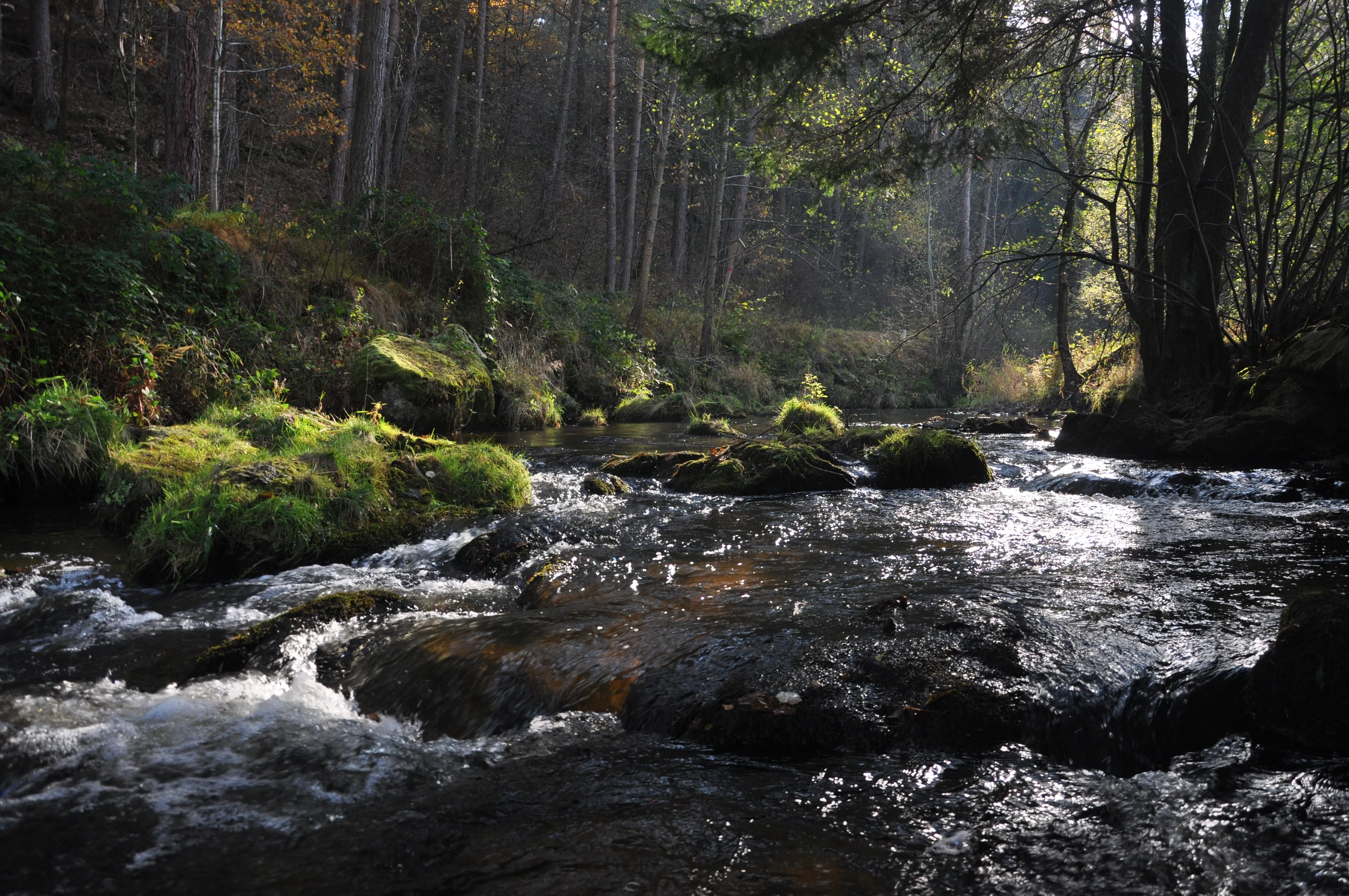 River Malse / Maltsch at the Austrian-Czech border