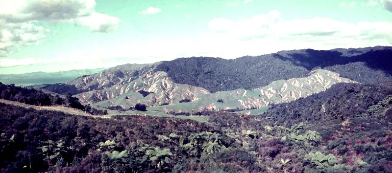 Landslides Hunua Ranges, NZ