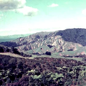 Landslides Hunua Ranges, NZ