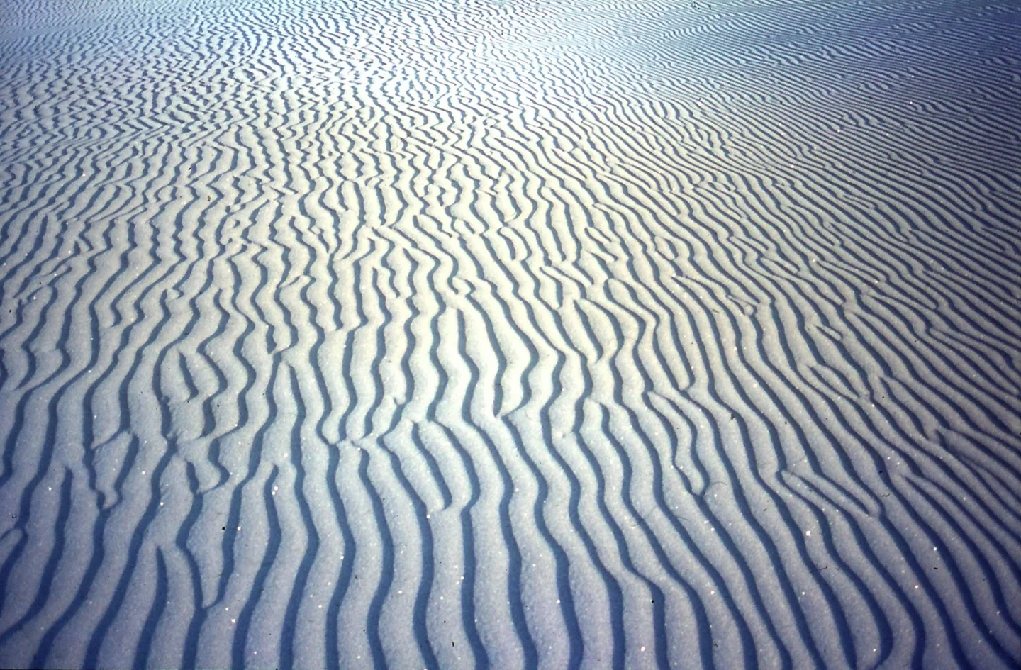 Tidal ripples exposed at low tide