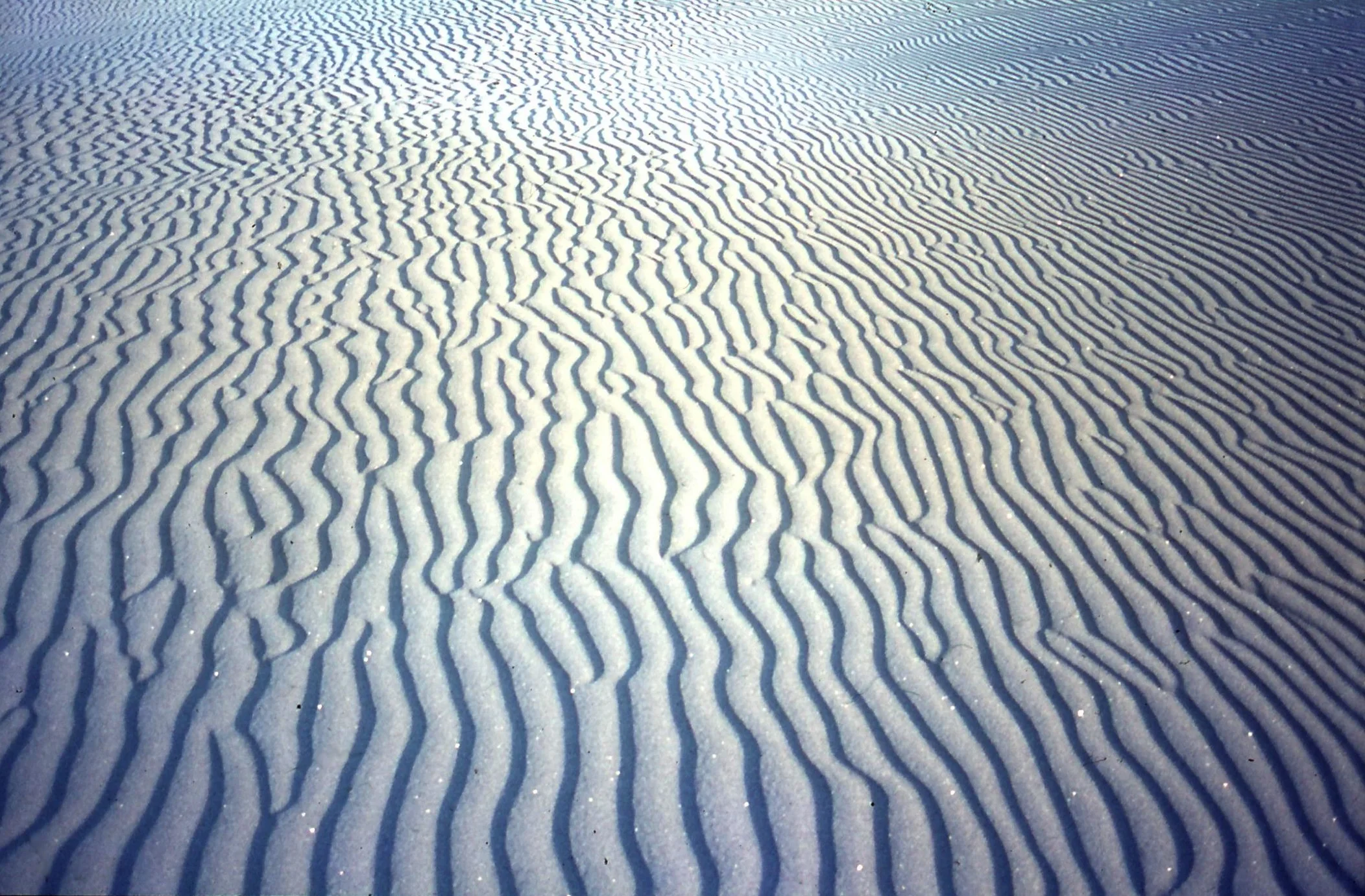 Tidal ripples exposed at low tide