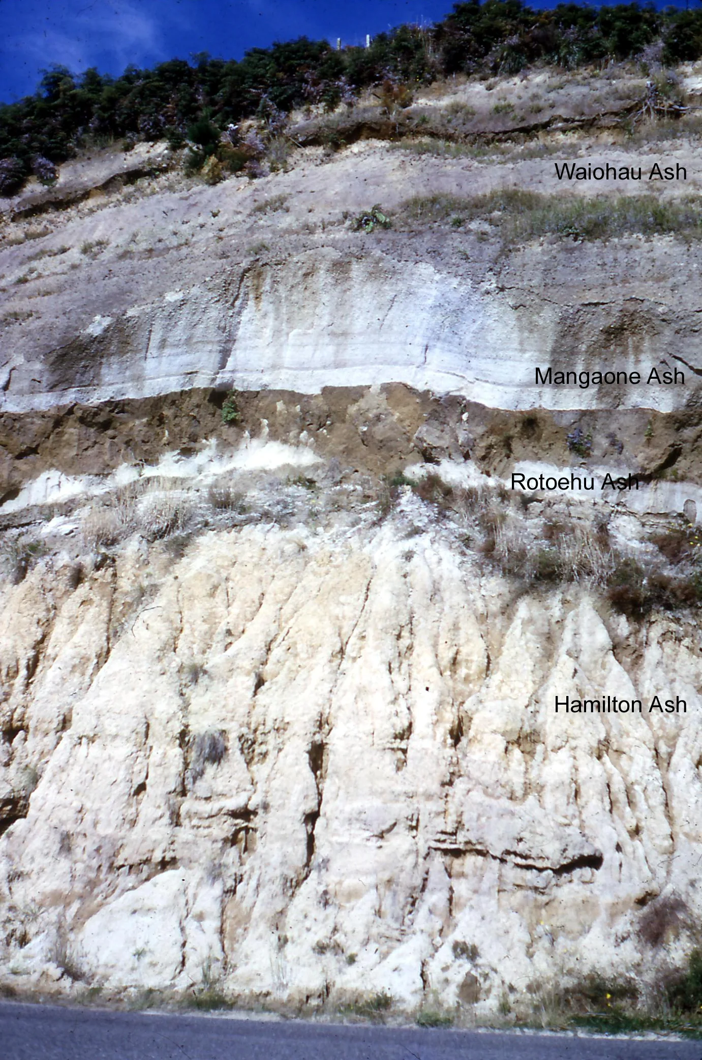 Tephra layers at Ohope, New Zealand
