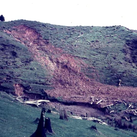 Debris avalanche on weathered greywacke