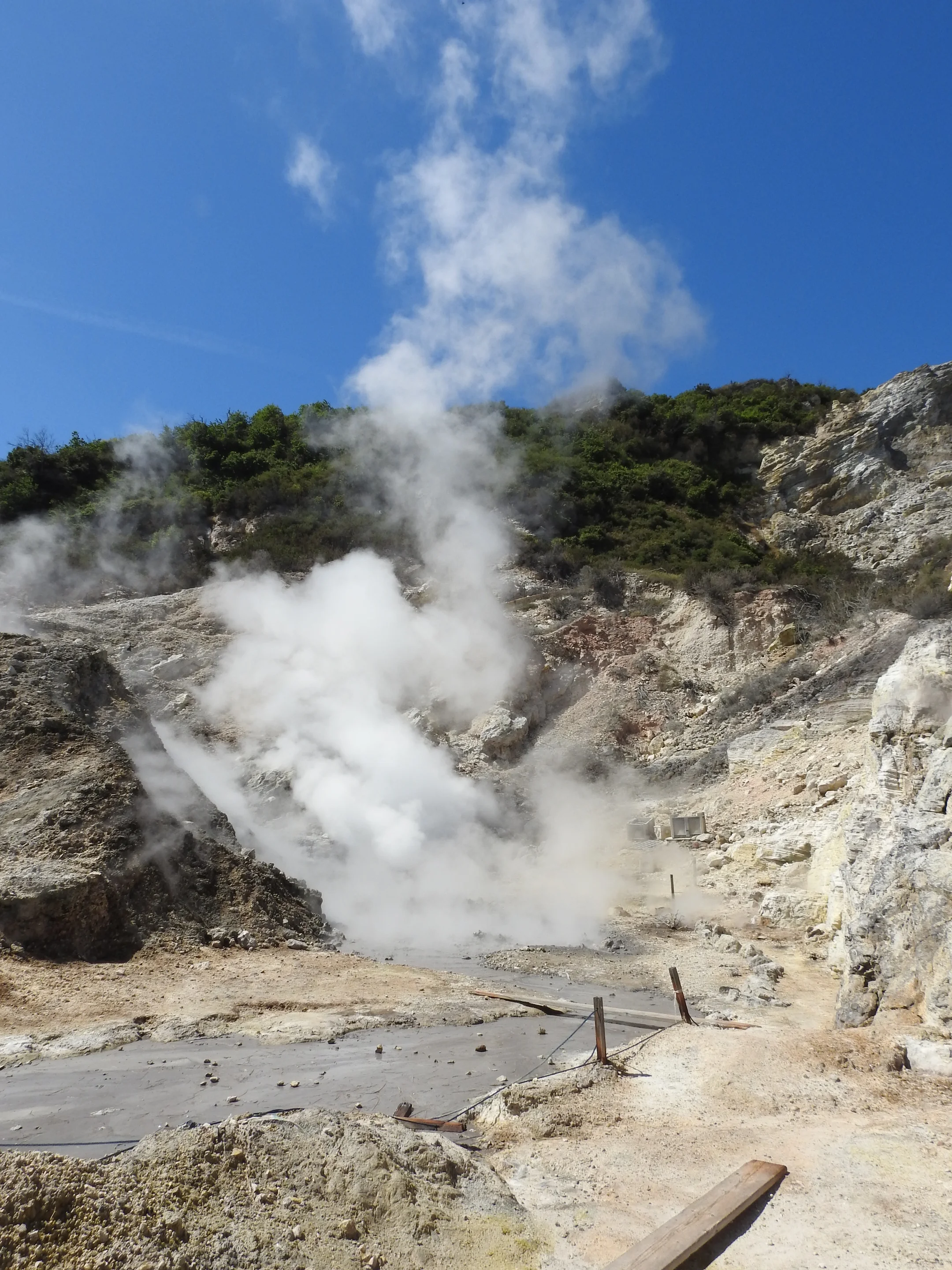 Solfatars and mud pools on the outer edge of the Solfatara crater