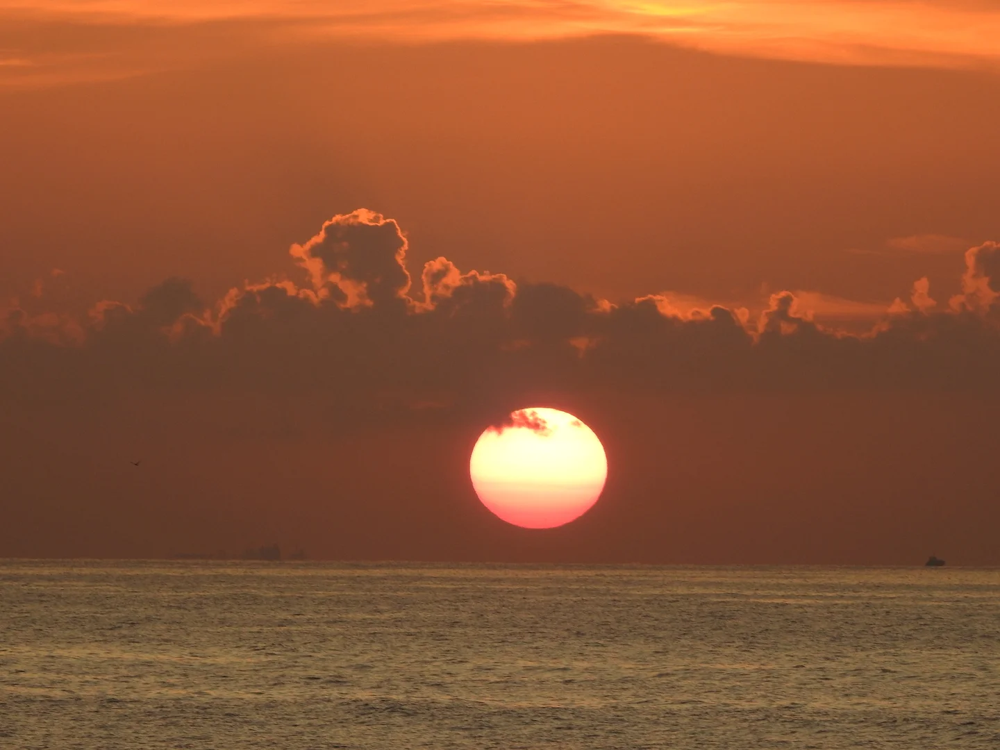 Malta: Sunrise from Tigné Point near Sliema