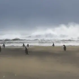 Windy conditions in Kerguelen islands