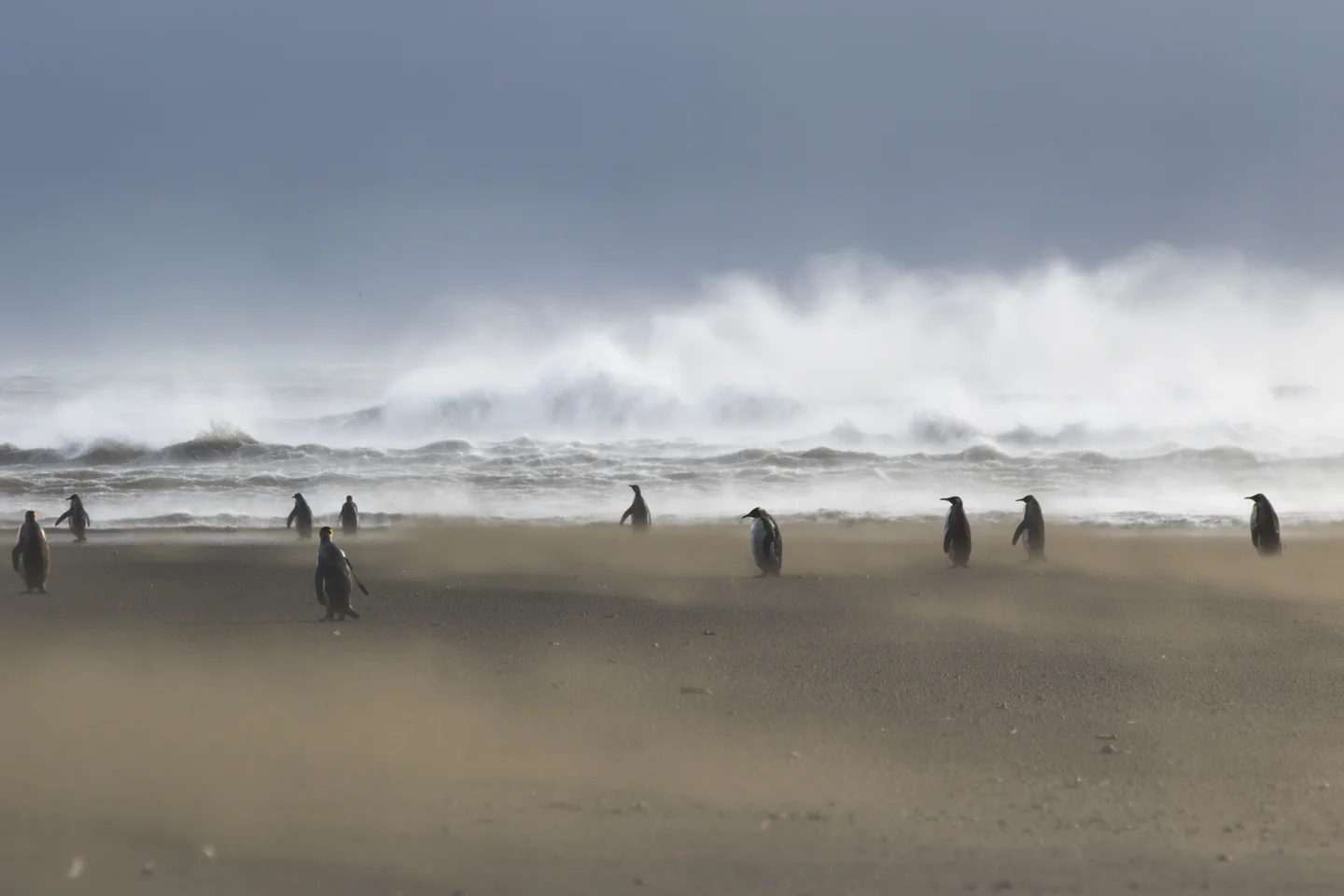 Windy conditions in Kerguelen islands