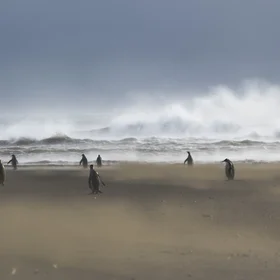 Windy conditions in Kerguelen islands