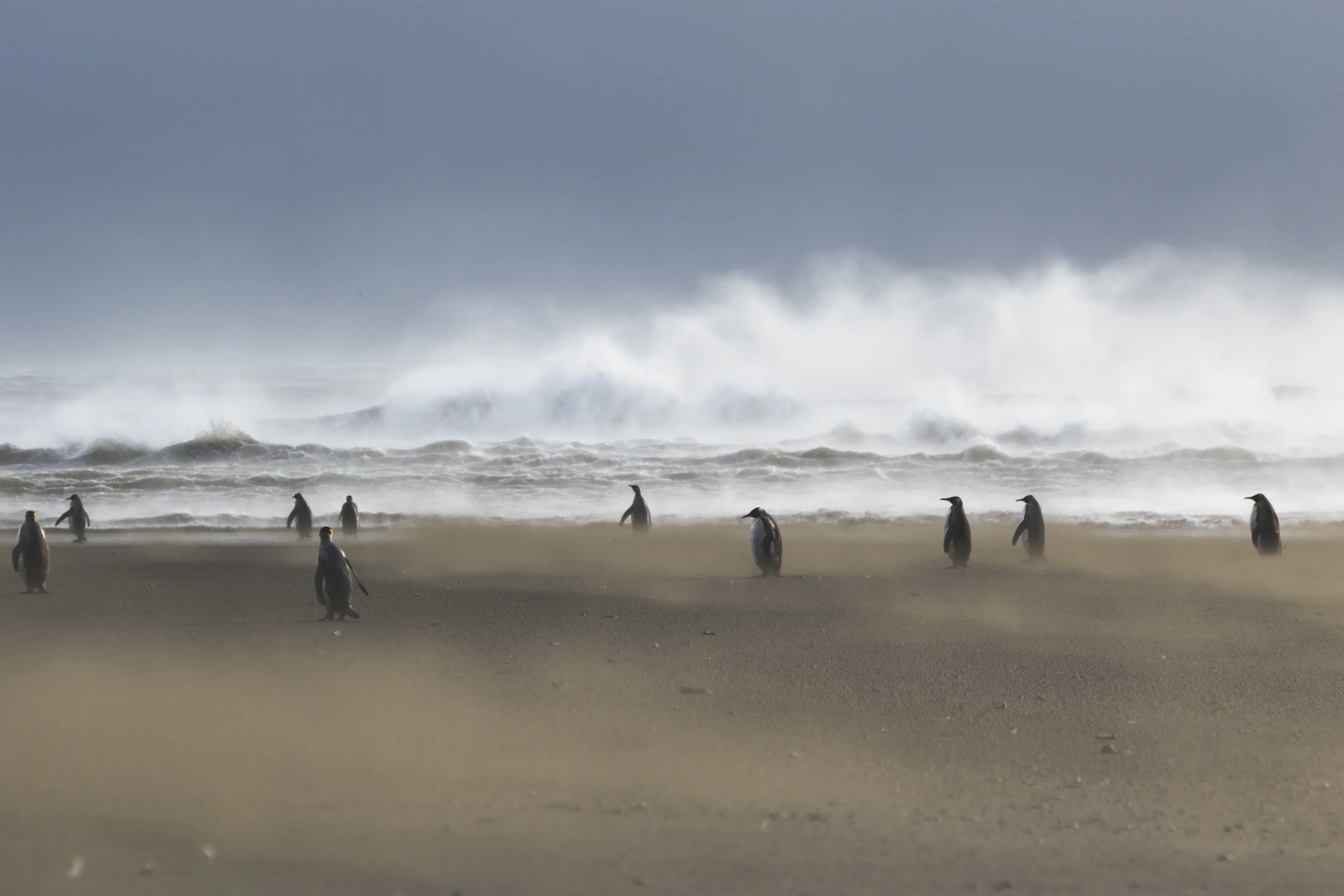 Windy conditions in Kerguelen islands