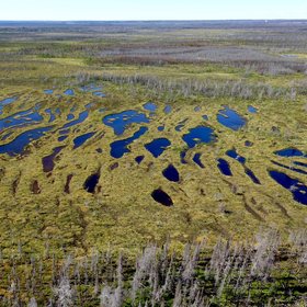 Northern carbon sink
