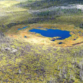 Northern peatland formation