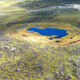 Northern peatland formation