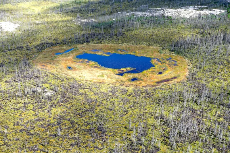 Northern peatland formation