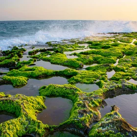 Karstification in Chabahar Beach, IRAN