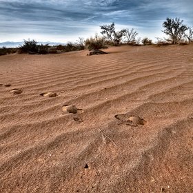 Zavareh Desert Ripple marks