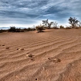 Zavareh Desert Ripple marks