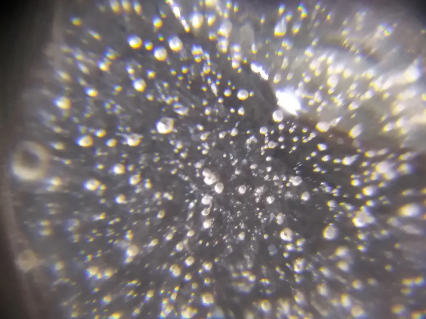 Microplastic in cosmetics