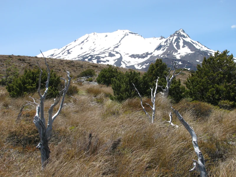 Mount Tongariro, New Zealand