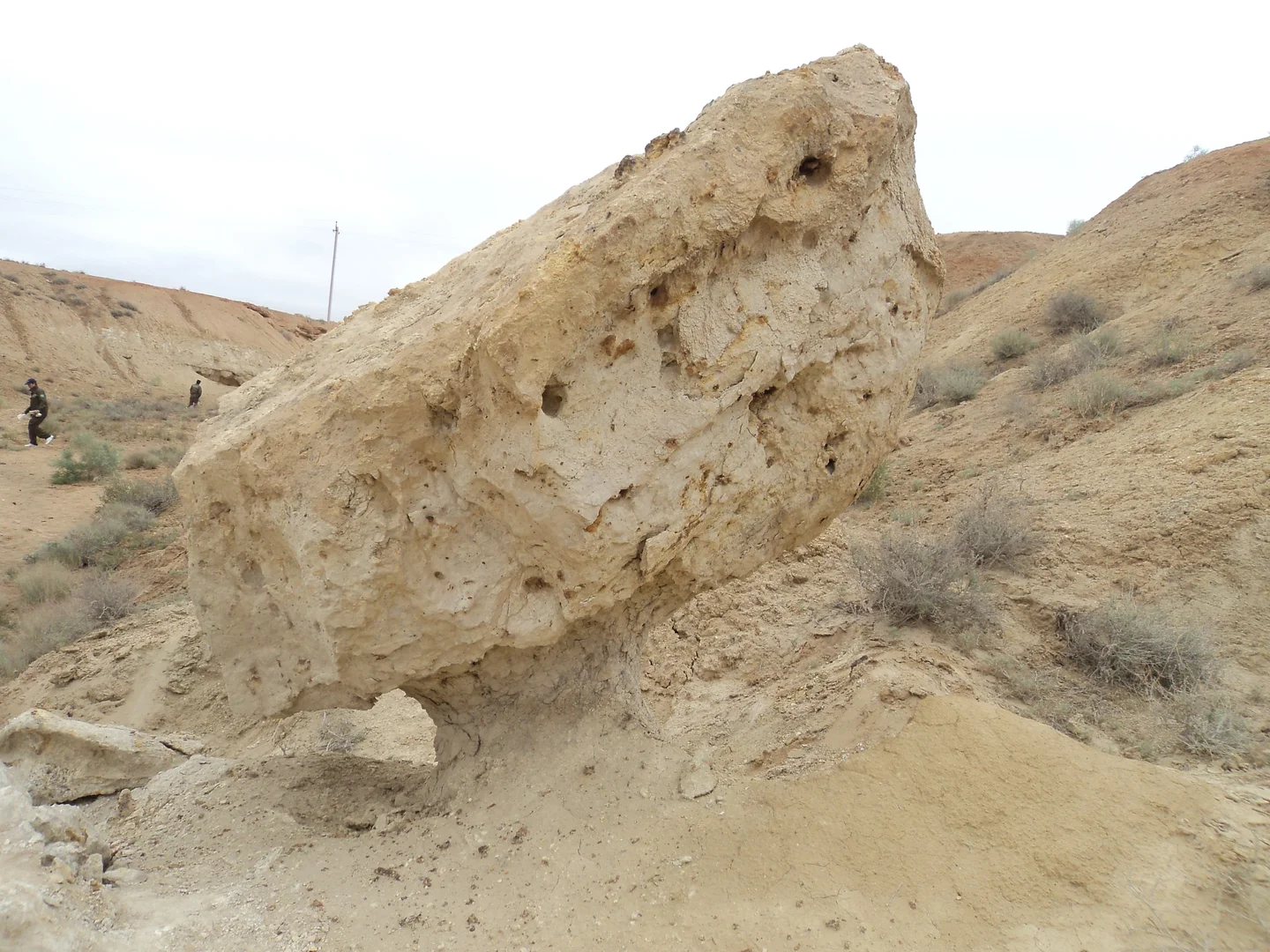 Field Excursion of Committee of Uzbekistan for Geology and Mineral Resources.