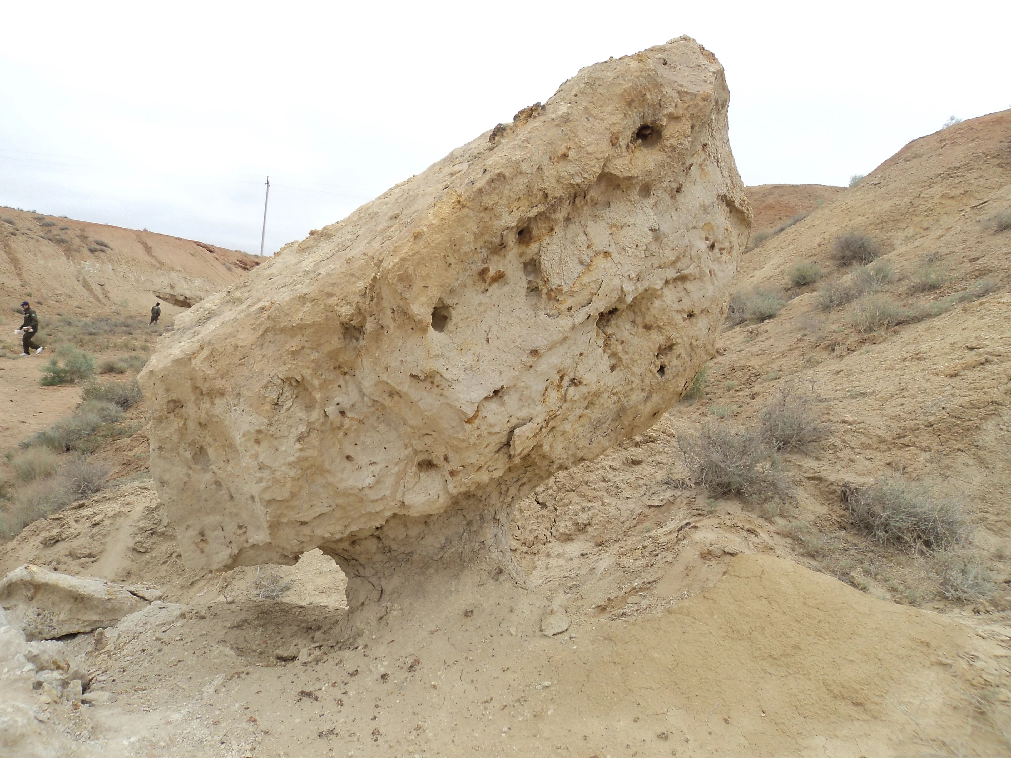Field Excursion of Committee of Uzbekistan for Geology and Mineral Resources.