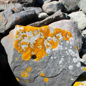 A cheeky wink in time