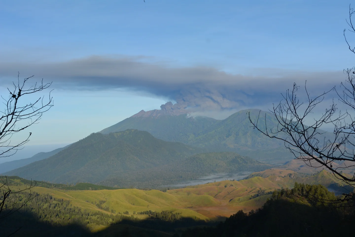 Vulcanic Ash of Raung Eruption