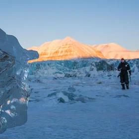 Wandering the frozen shore