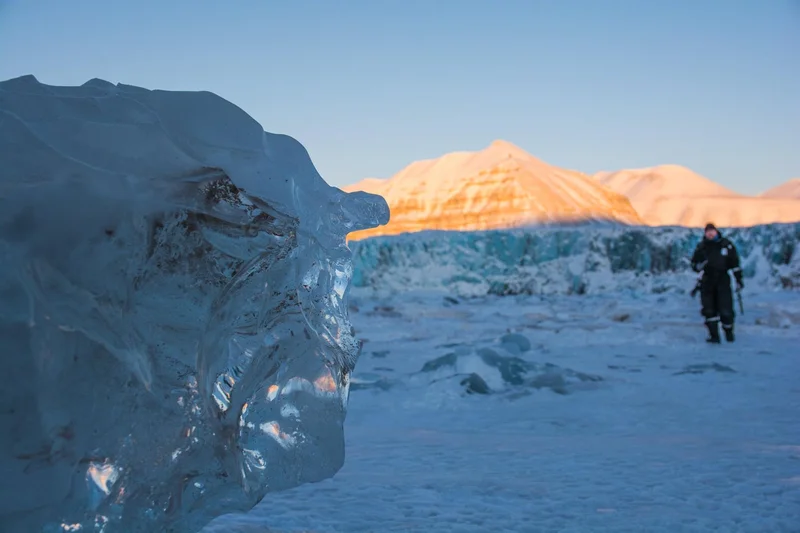 Wandering the frozen shore