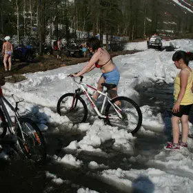 Summer has come to Arctic.