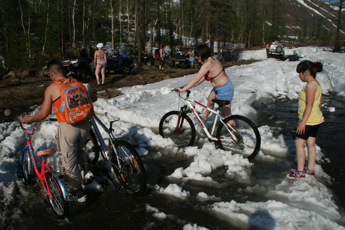 Summer has come to Arctic.