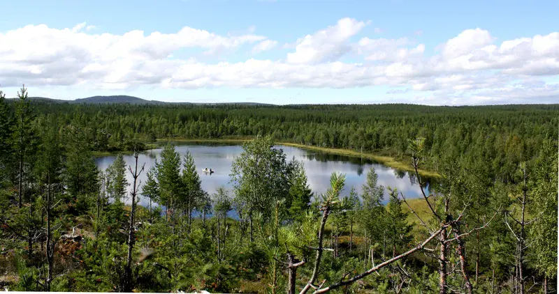Field work in a small boreal lake