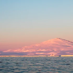 Mount Melbourne dresses in pink