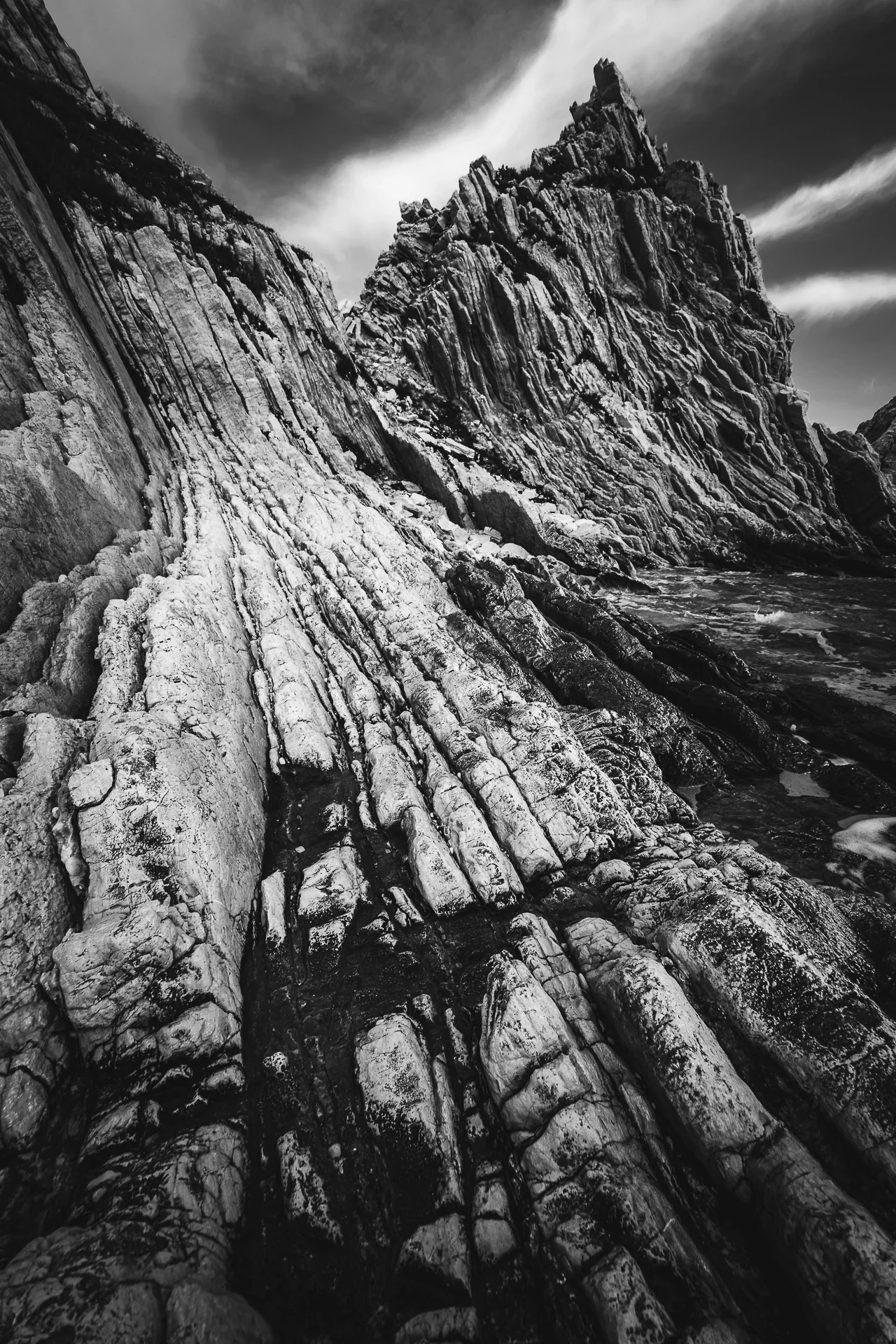 Lower Cretaceous relics