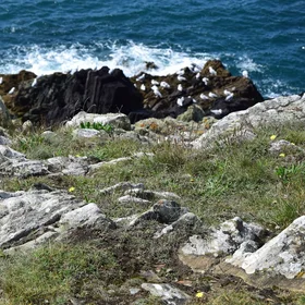 Global warming and coastal erosion