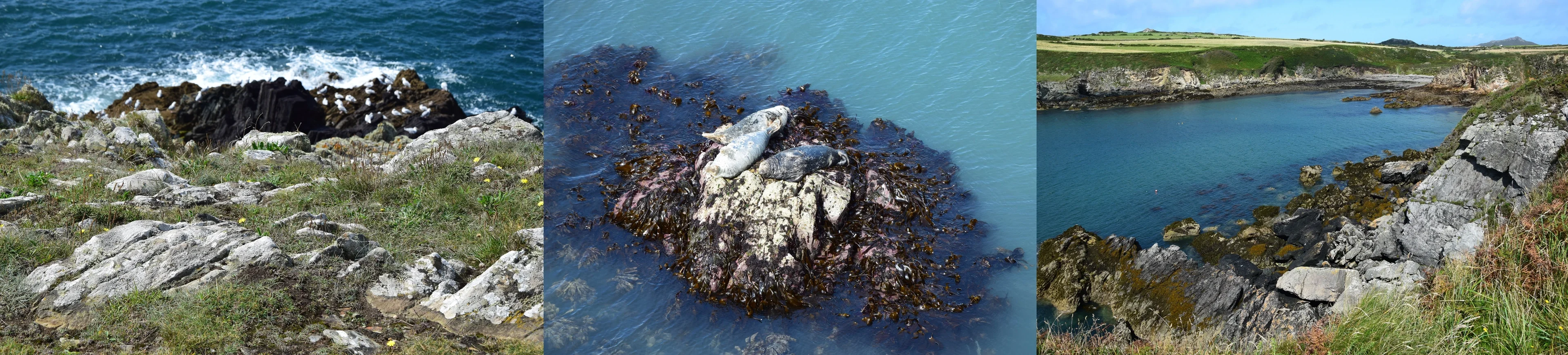 Global warming and coastal erosion