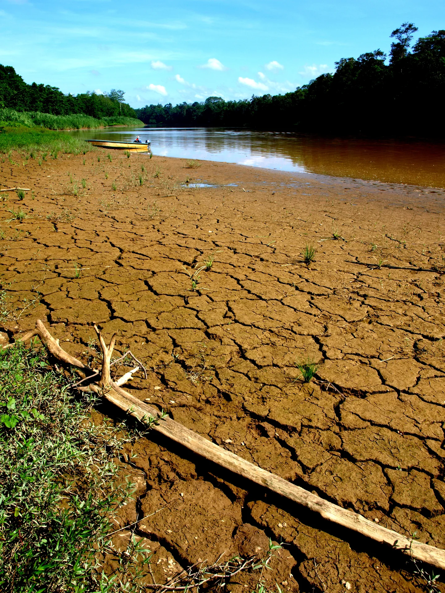 Sun-baked river bank