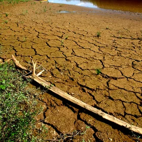 Sun-baked river bank