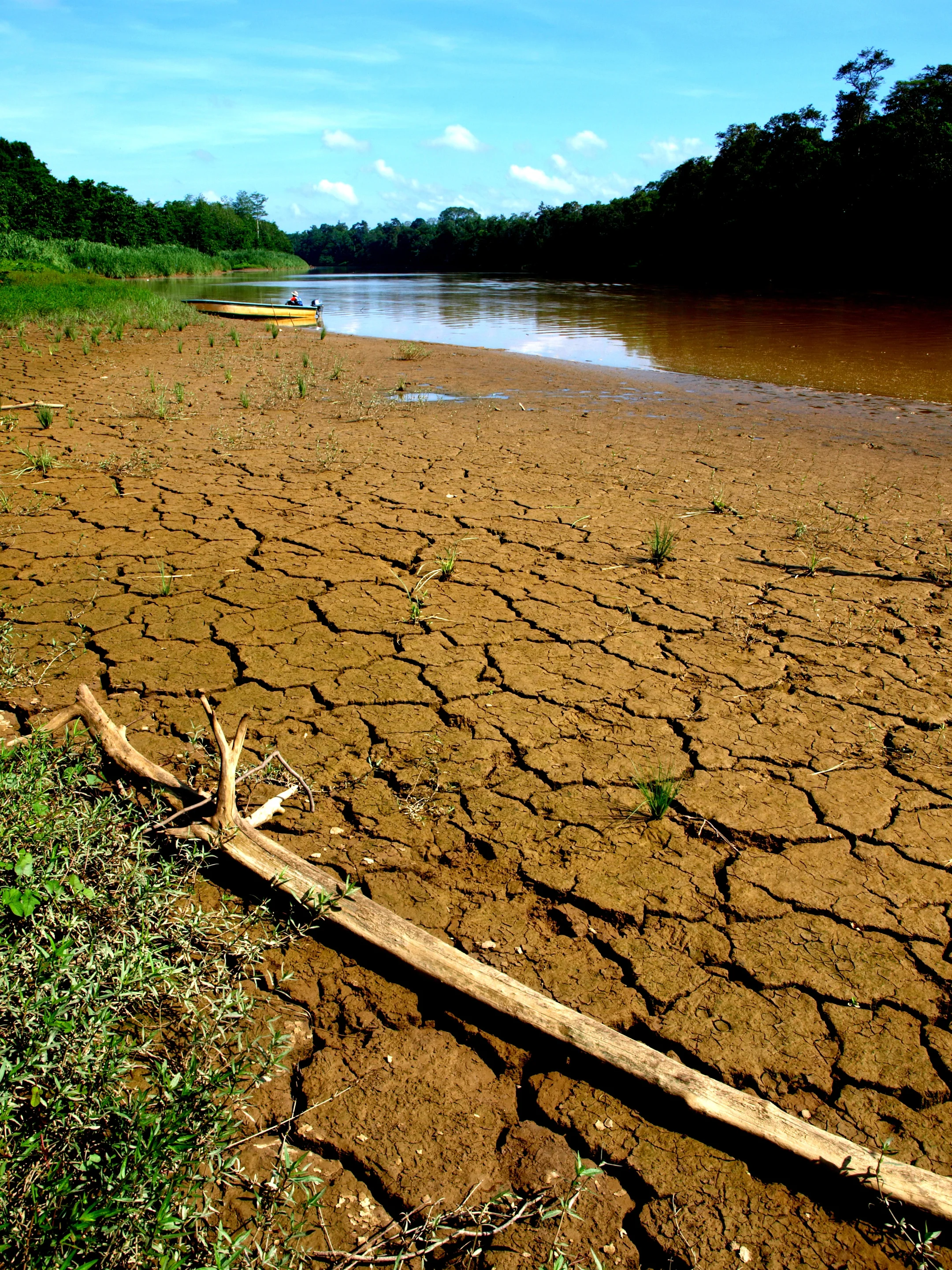 Sun-baked river bank