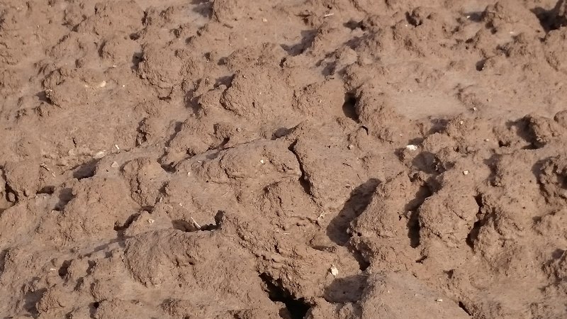 Microbarkhans dunes in a ploughed soil