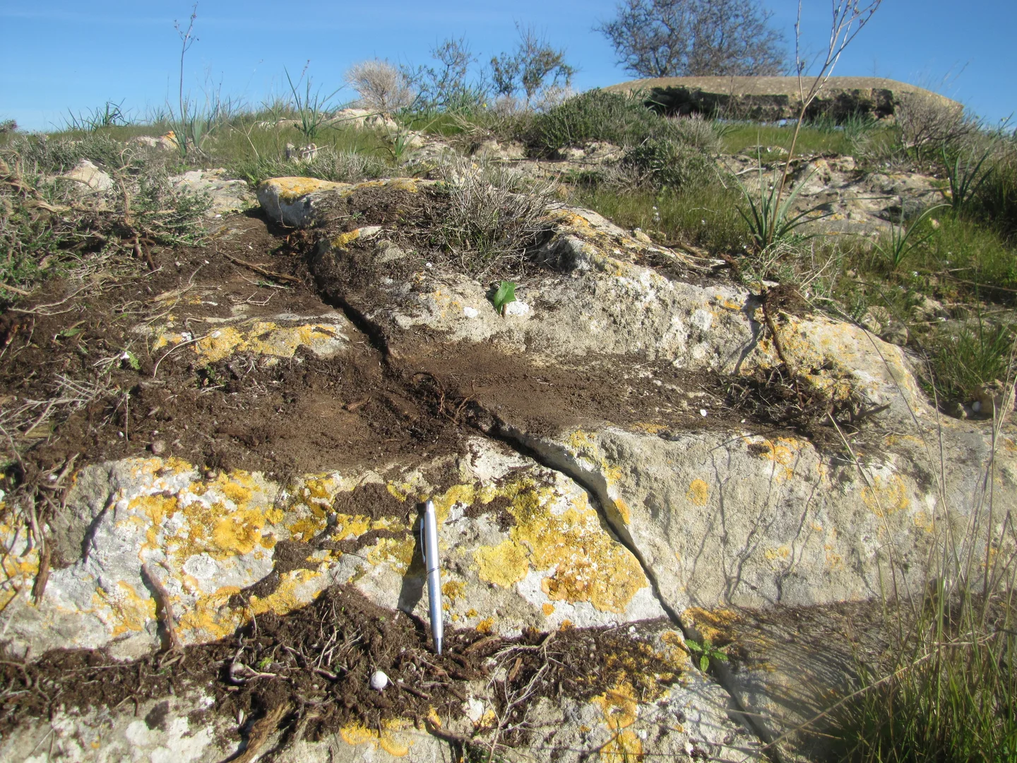 Greek age street dislocated by a reverse fault