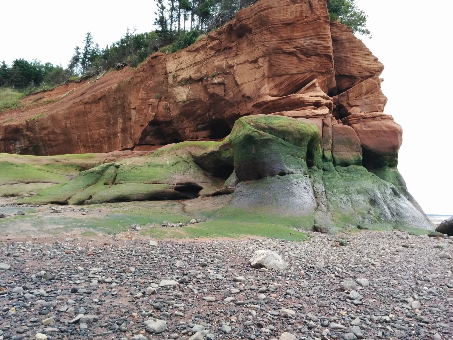 Ancient Dune, Modern Cliff