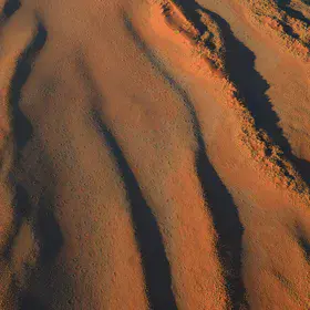 The mysterious fairy circles.